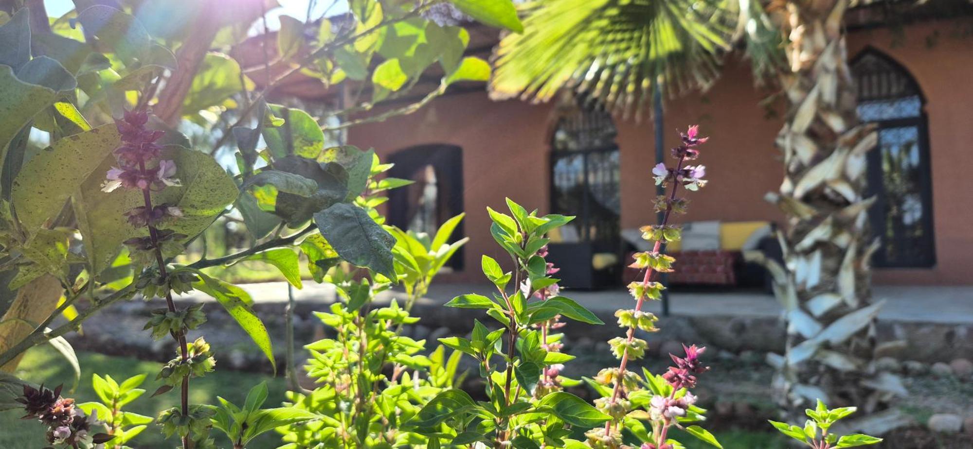 Hotel La Terra Rosa Douar Akkara Zewnętrze zdjęcie